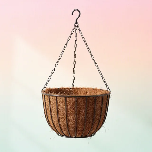 BloomBasket Hanging Planter