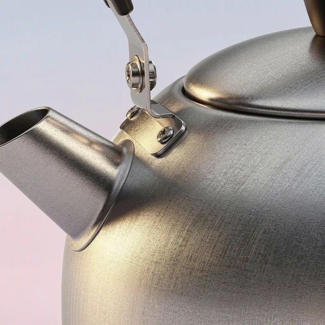 BrightKettle WhirlHeat Stove Kettle