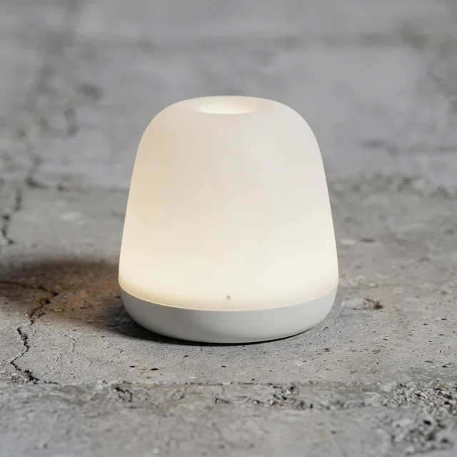 CozyCrest Nightlite Reading Lamp