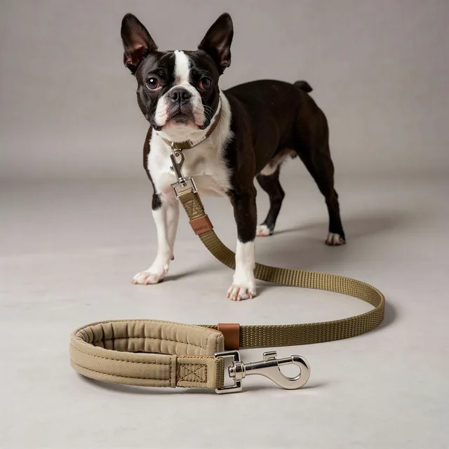 WillowWoof Padded Leash